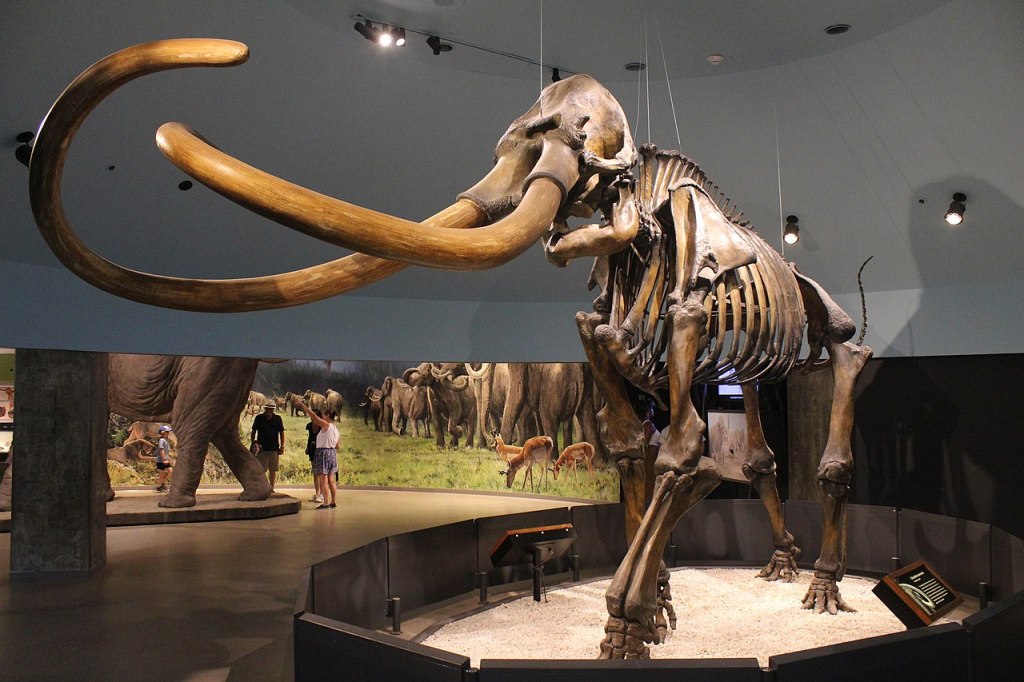 Death of the North American&nbsp;Megafauna